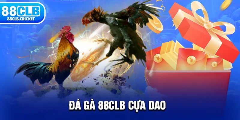 Đá gà 88CLB cựa dao