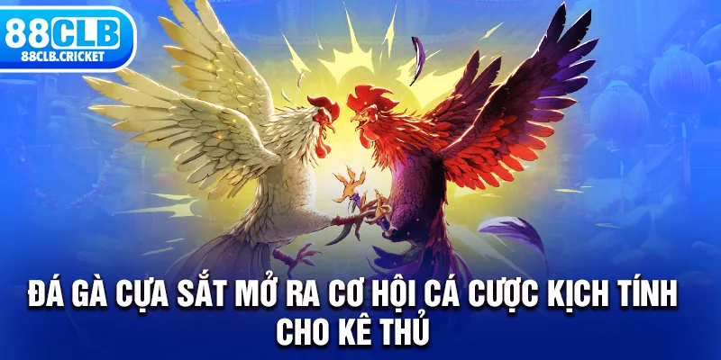 Đá Gà Cựa Sắt Mở Ra Cơ Hội Cá Cược Kịch Tính Cho Kê Thủ